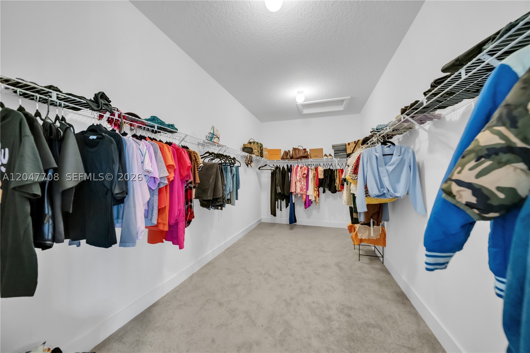 MAPLE RIDGE AT AVE MARIA - Residential