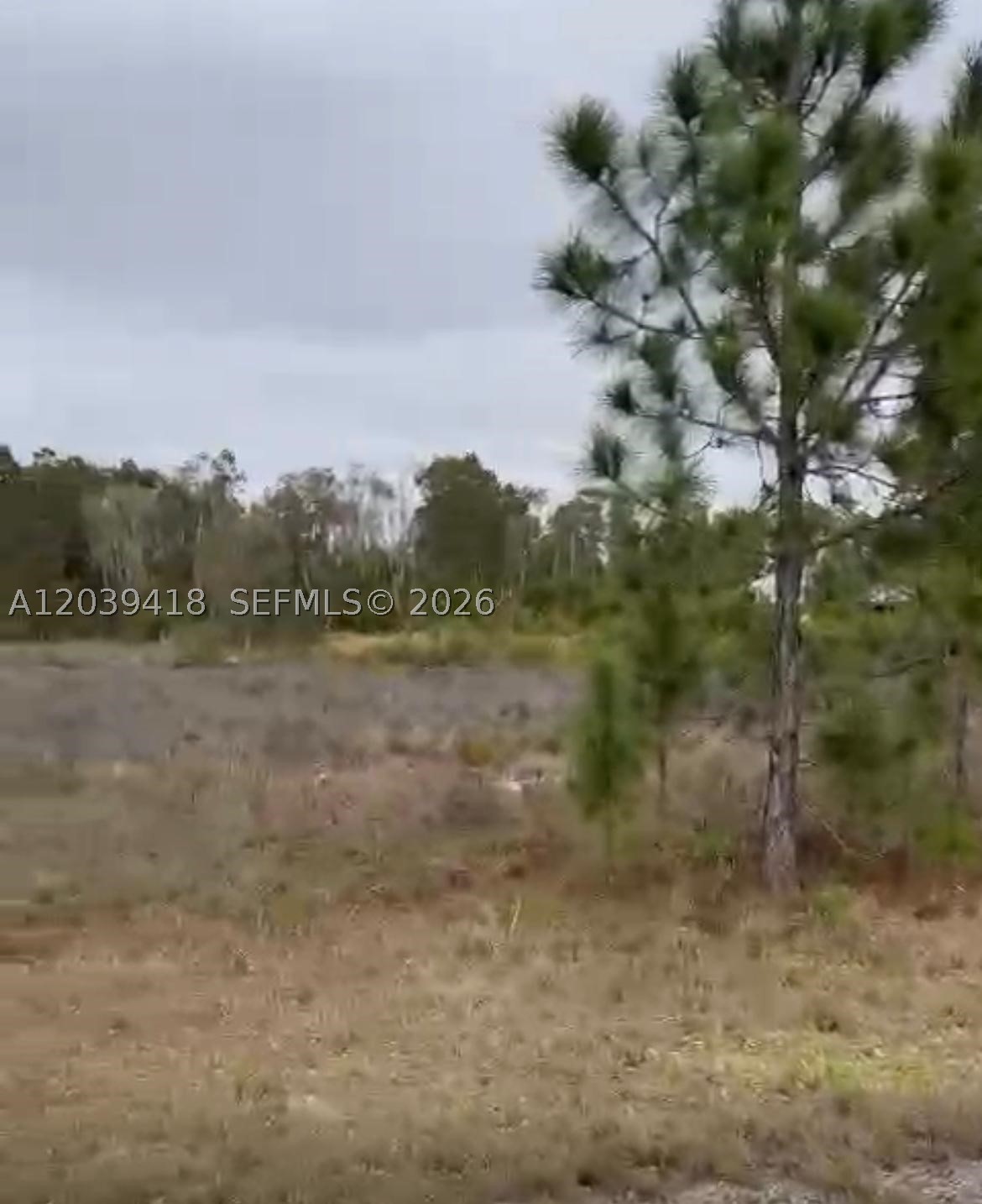 Lehigh Acres - Land