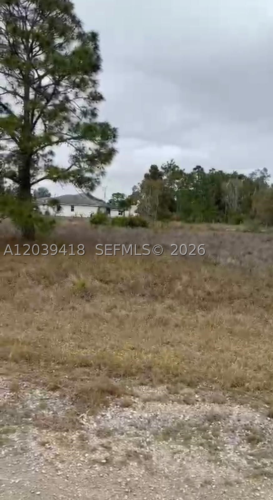 Build your dream home on this beautiful 0.23-acre residential lot! Recent Boundary Survey available. A 2024 environmental inspection confirmed the property is free of prohibited vegetation and protected endangered species. The lot is relatively clear with minimal tree coverage, helping reduce future site preparation costs. Excellent opportunity to build in a growing area with easy access to schools, shopping, dining, and major roadways. Bring your plans and start building your dream home today. Seller will consider all reasonable offers.