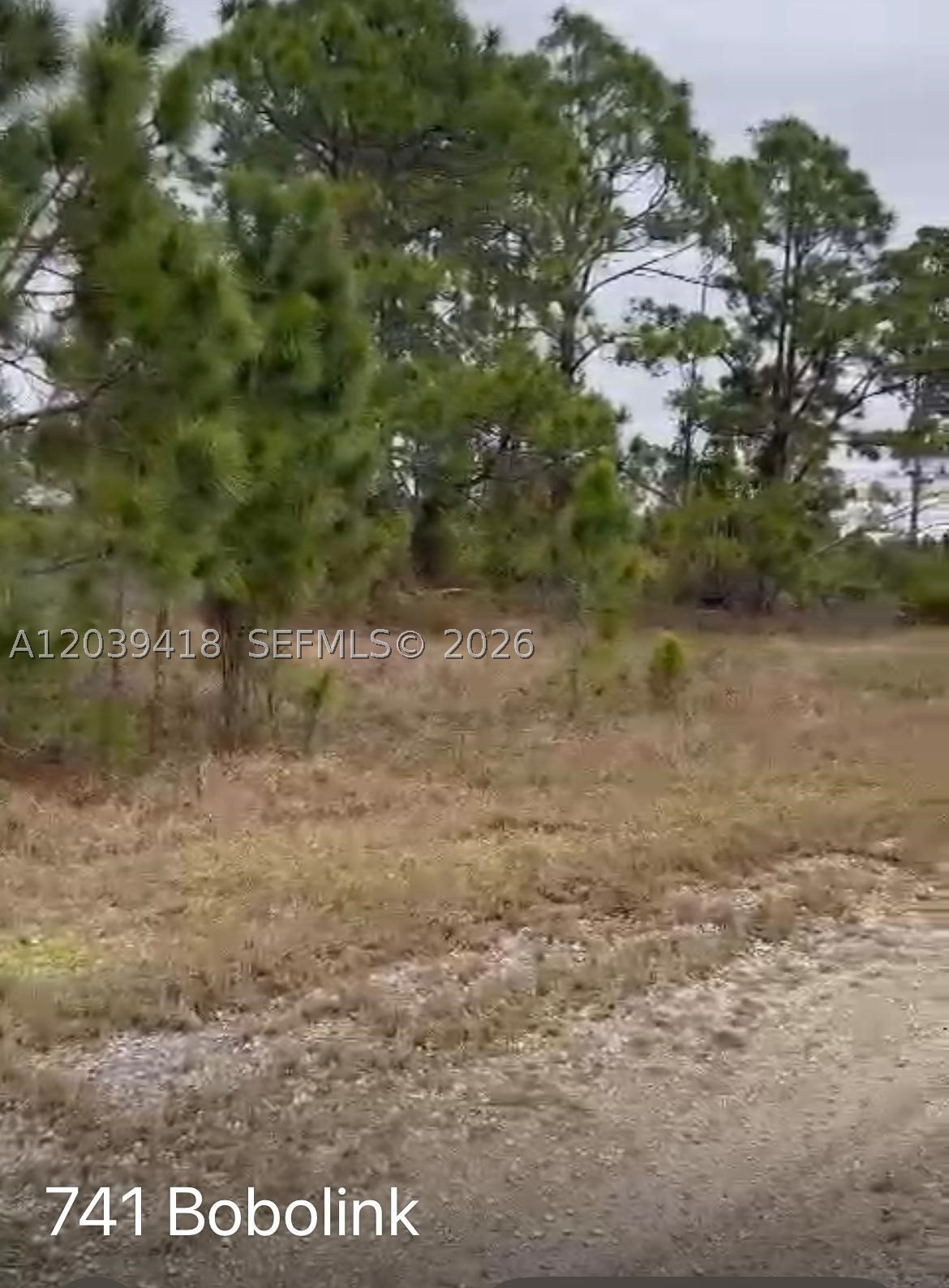 Lehigh Acres - Land