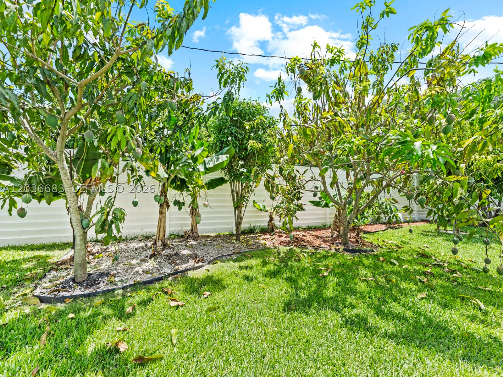 BEL AIRE SEC 4 - Residential Lease