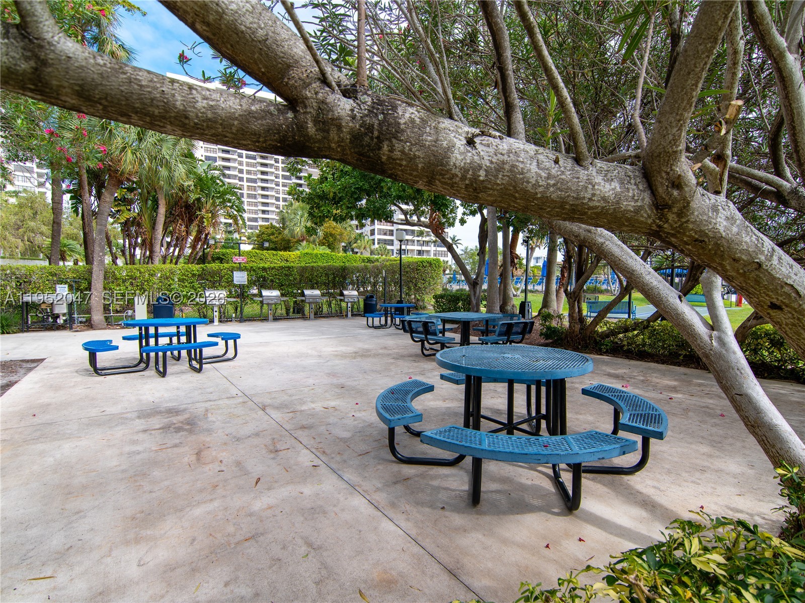 OLYMPUS CONDO PHASE - Residential