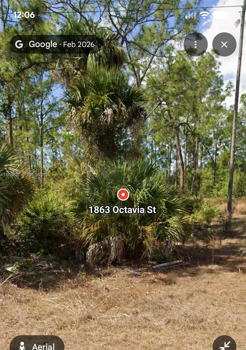 land for sale in Lehigh acres Florida. 0.25 acre lot..lots of new construction nearby and completed for sale right now. It also has a paved finished road, electricity ready to connect. one of the lowest quarter acres available in Lehigh acres Florida right now!  owner financing available $9,900 down  payment and 36 payments of $277 a month. 0% interest