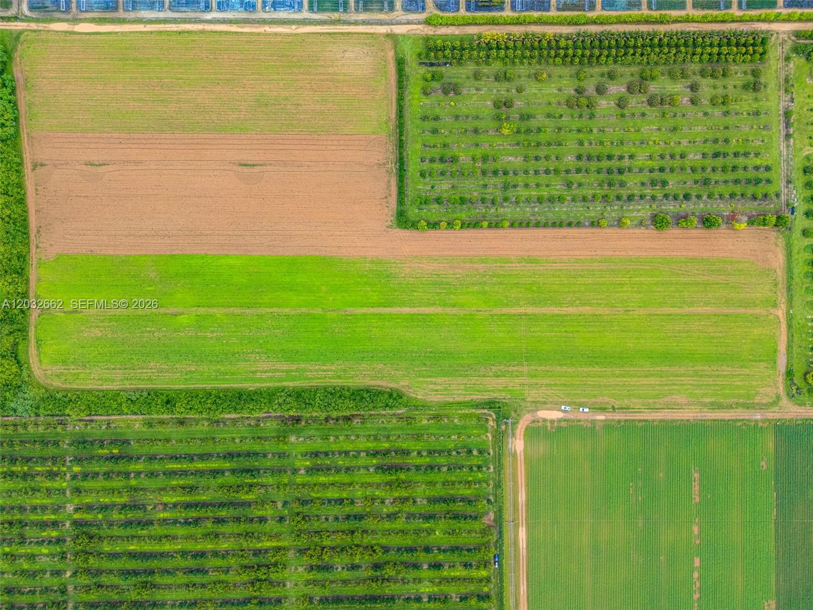Exceptional opportunity to own nearly 5 cleared acres in the rapidly growing Florida City area. Whether you're looking to establish a nursery, agricultural operation, investment property, or future development project, this property offers endless potential. Located just off Palm Drive (SW 344 St) near Robert Is Here Fruit Stand and Everglades Alligator Farm, with convenient access to major roadways and only minutes from the Florida Keys. The property is cleared and ready for use, with the added benefit of being already divided into multiple folios, providing flexibility for future plans and investment strategies. Surrounded by new construction and ongoing development, this area continues to experience strong growth, creating additional opportunities for businesses, investors, and landowners alike. A rare chance to secure acreage in one of South Florida's fastest-growing markets. Zoned GU - Buyer to independently confirm land use. Owner financing available. Traditional financing also available! The outline on the photos are an APPROXIMATE outline to help show the layout of the parcels.