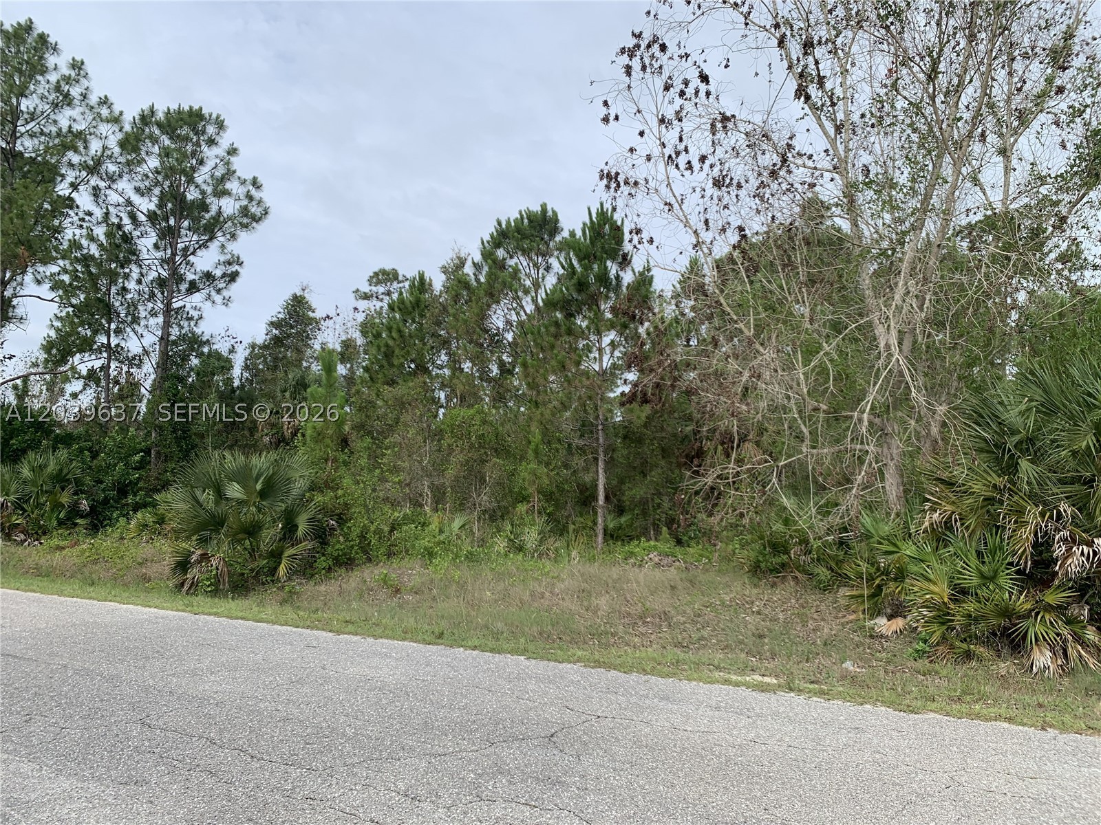 Single Family Half Acre Vacant Lot.