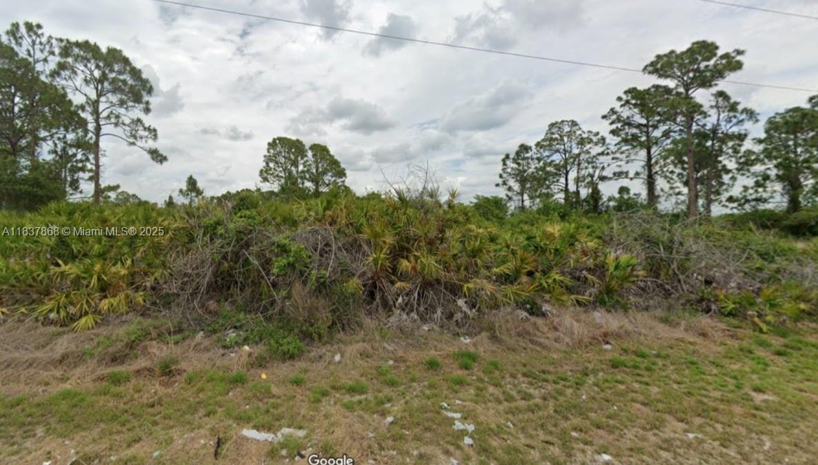 Lehigh Acres - Land