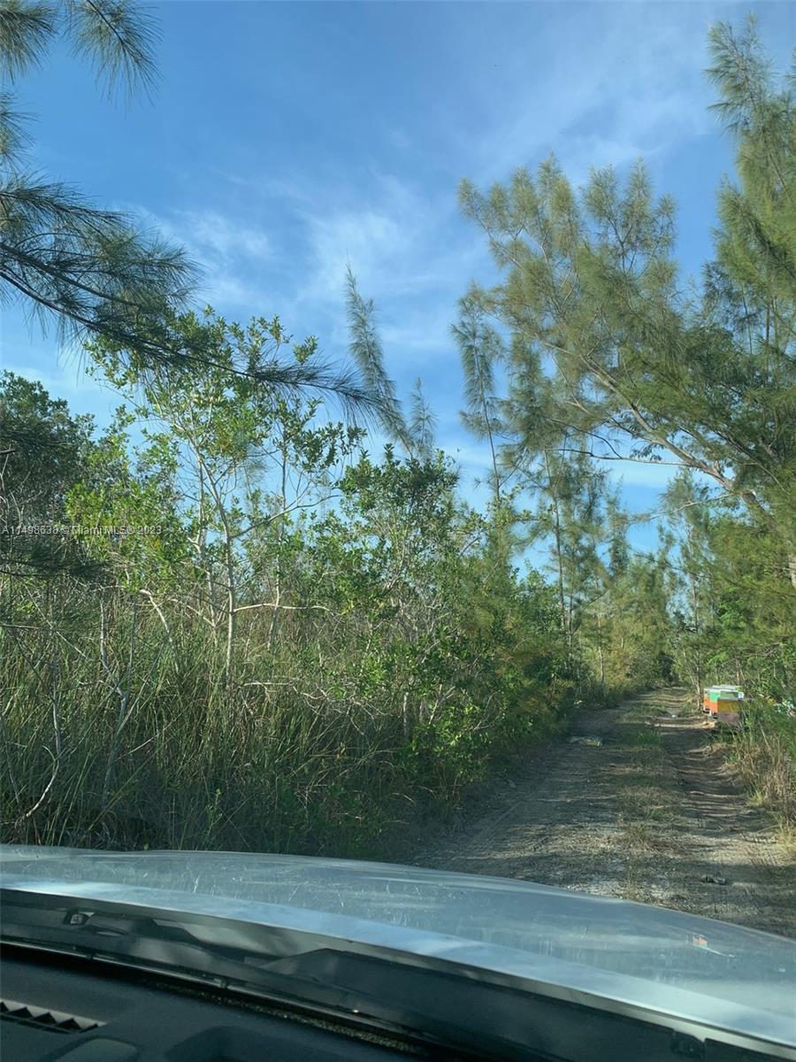 MIAMI LAND & DEV COS SUB - Land