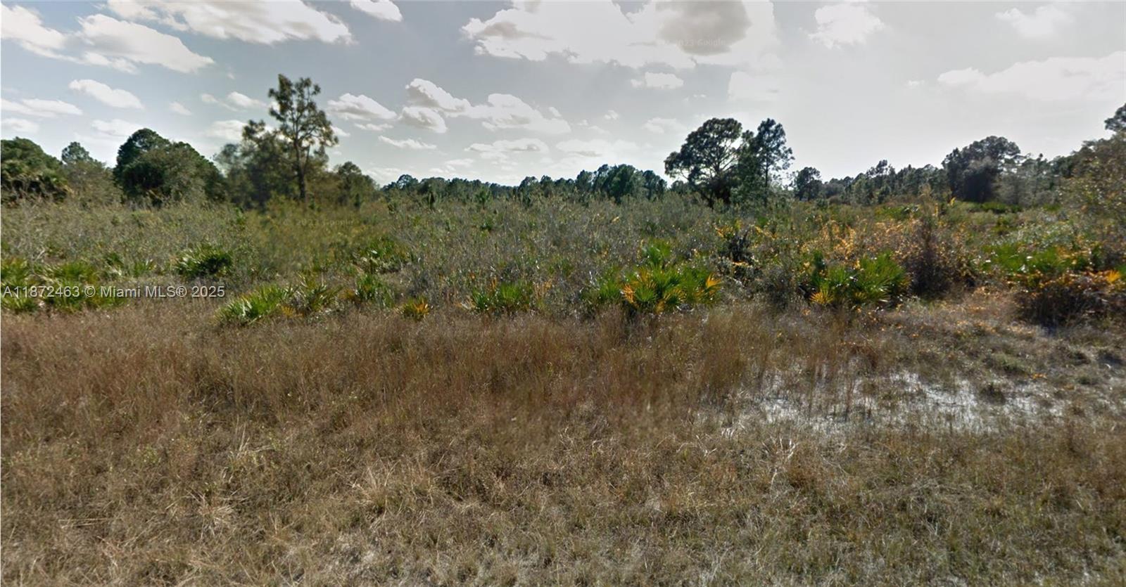 LEHIGH ACRES - Land