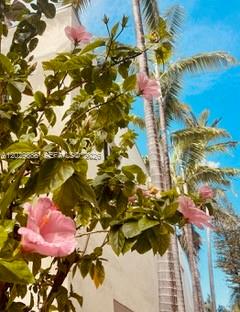 VILLA GATSBY CONDO - Residential Lease