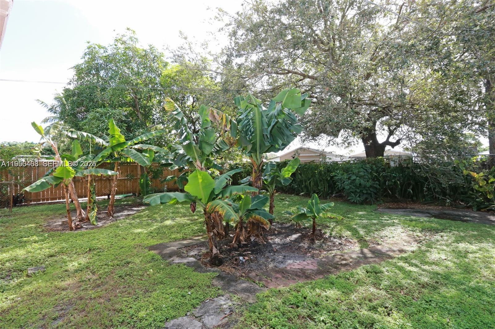 THE TROPICS AMD - Residential