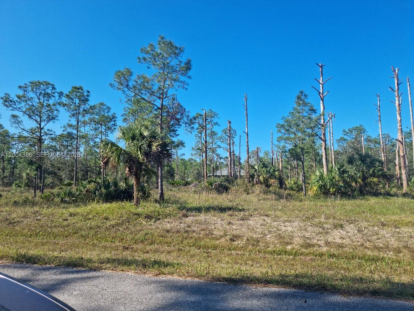 Imagine owning this oversized half-acre vacant residential lot in the peaceful and picturesque town of Alva, Florida. Discover an exclusive canvas perfect for your custom estate with ample space for a pool, gardens, and privacy amid Florida's natural beauty—ideal for visionaries elevating their lifestyle or investors land banking in a growing market with rising demand for rural parcels. Build your paradise, seize the opportunity to turn potential into equity, and create your future in this quiet Lee County gem with road access and room for dreams. NO protected wildlife, NO high-risk flooding ~ Flood zone X, NO HOA fees, No flood insurance. MOTIVATED SELLER!