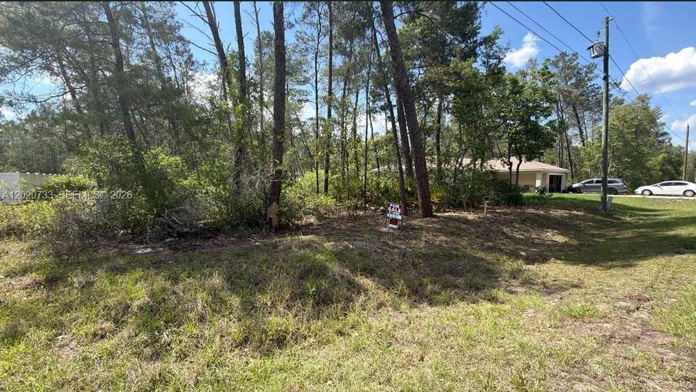 SILVER SPRINGS SHORES UNIT - Land