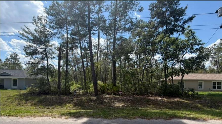 SILVER SPRINGS SHORES UNIT - Land