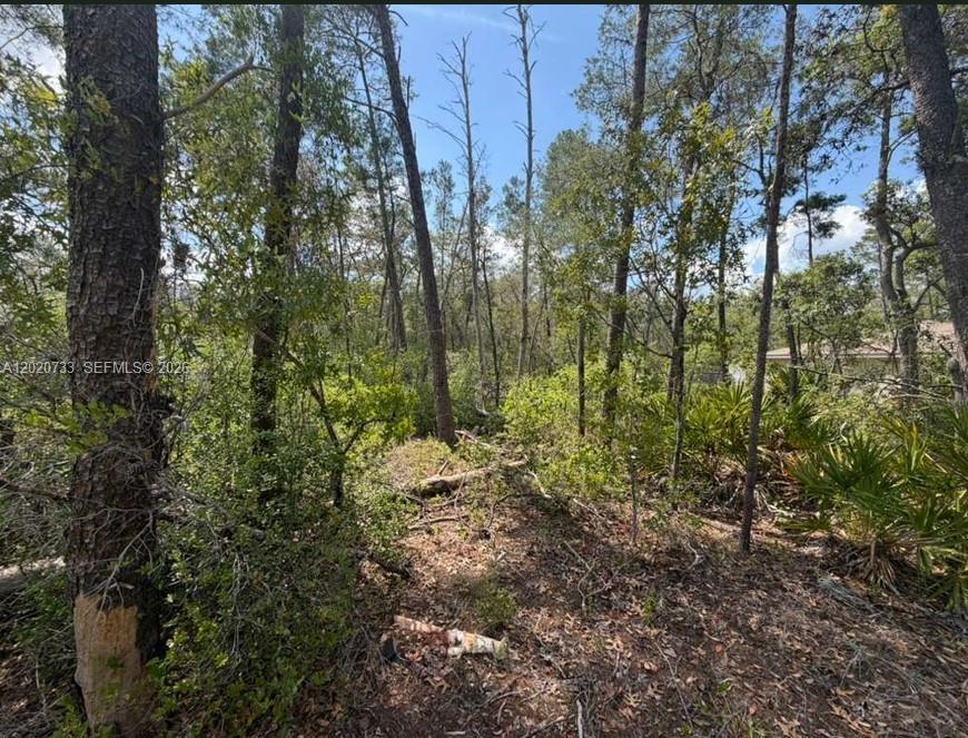 SILVER SPRINGS SHORES UNIT - Land