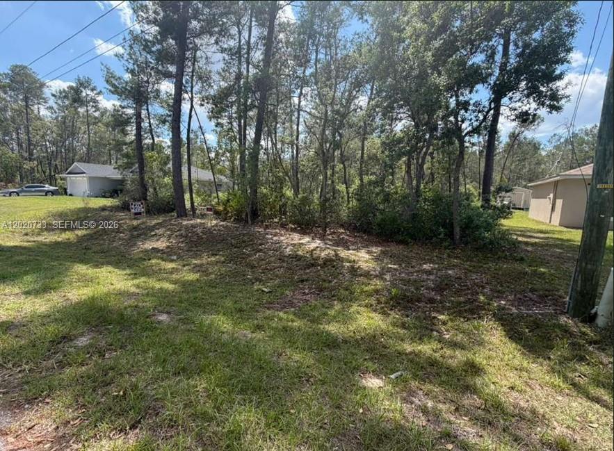 SILVER SPRINGS SHORES UNIT - Land