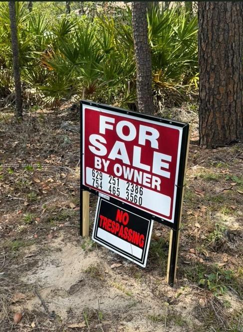 SILVER SPRINGS SHORES UNIT - Land