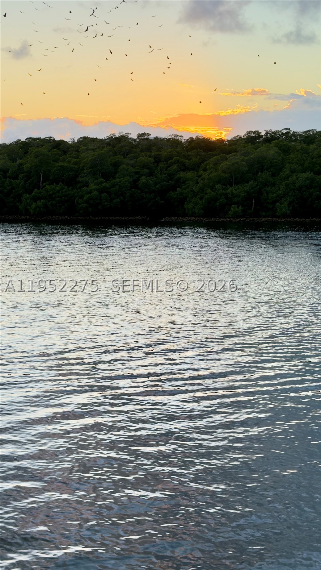 POINCIANA IS YT & RCQ CLU - Residential