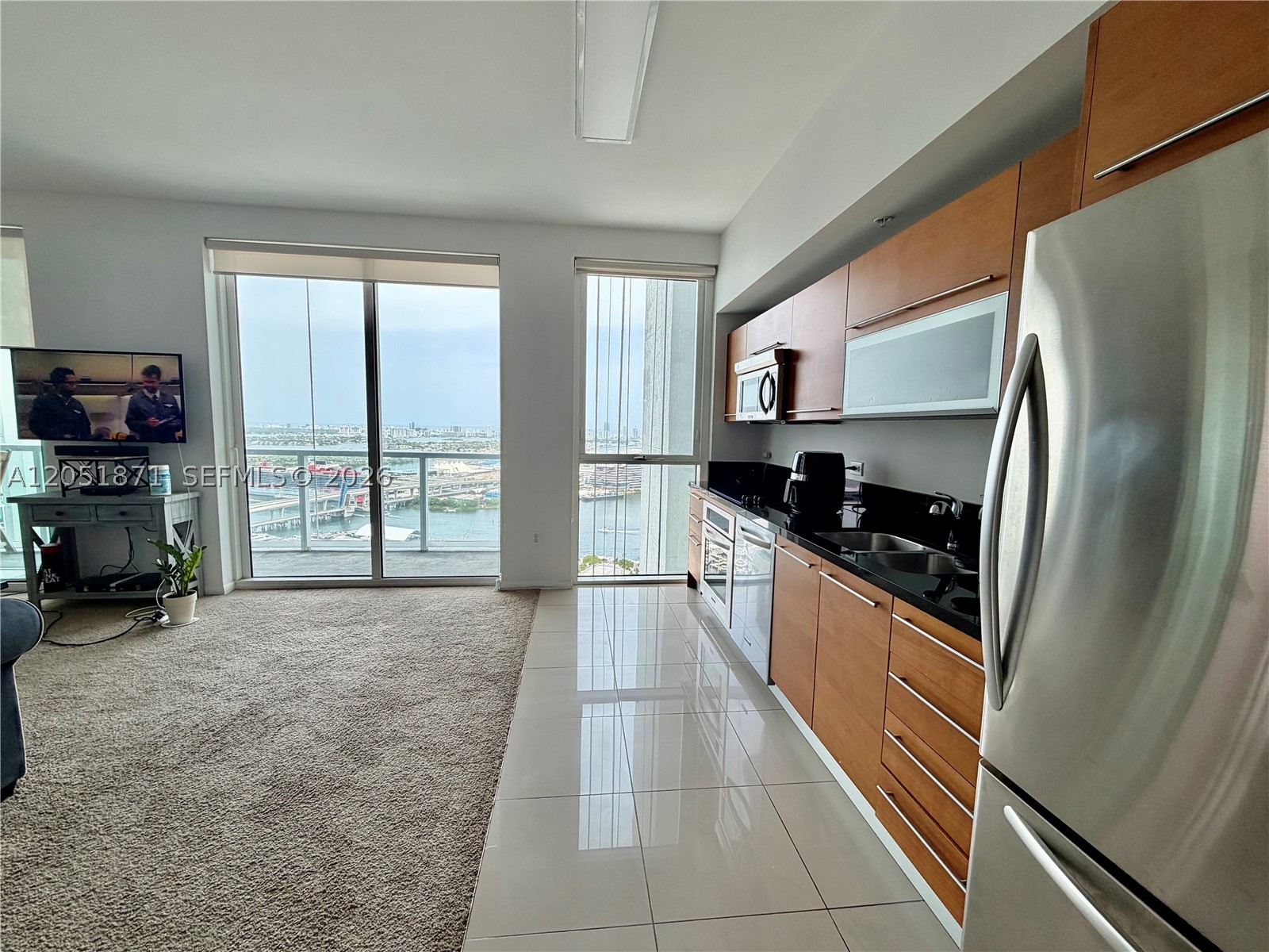 VIZCAYNE SOUTH CONDO - Residential