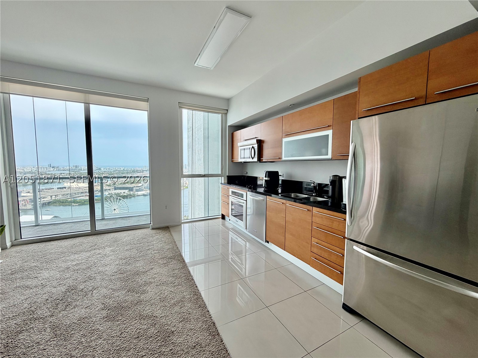 VIZCAYNE SOUTH CONDO - Residential