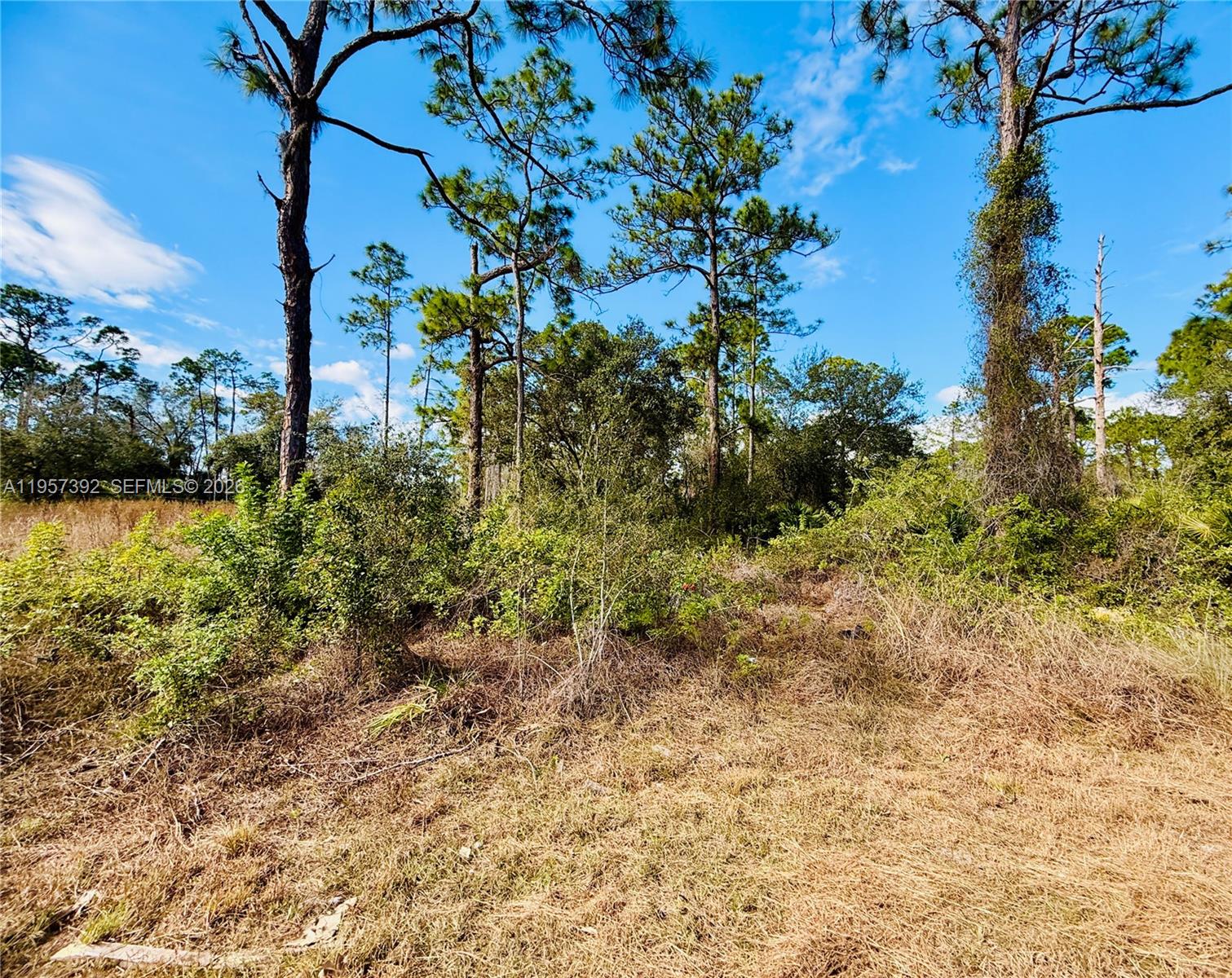 LEHIGH ACRES - Land