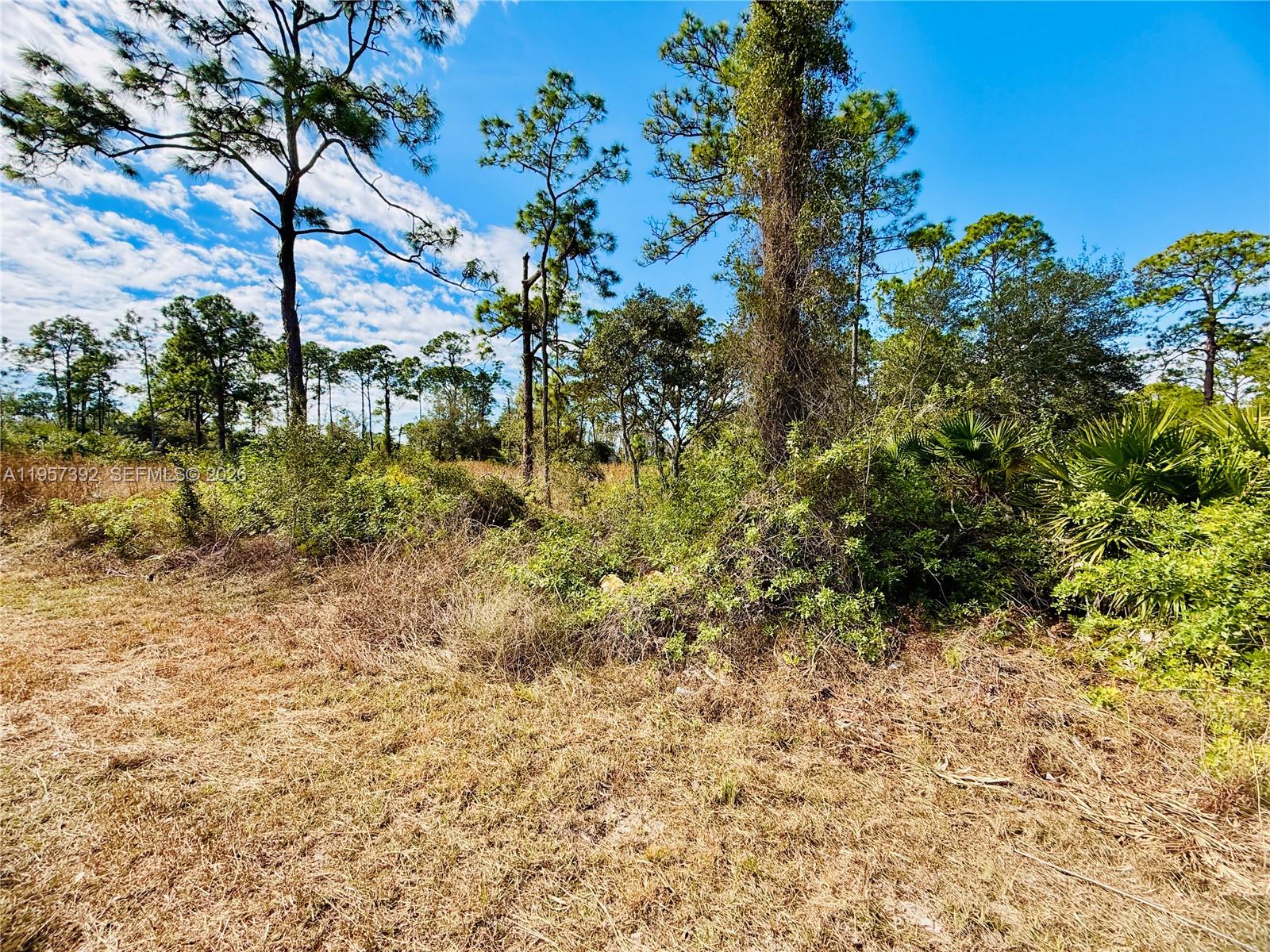 LEHIGH ACRES - Land