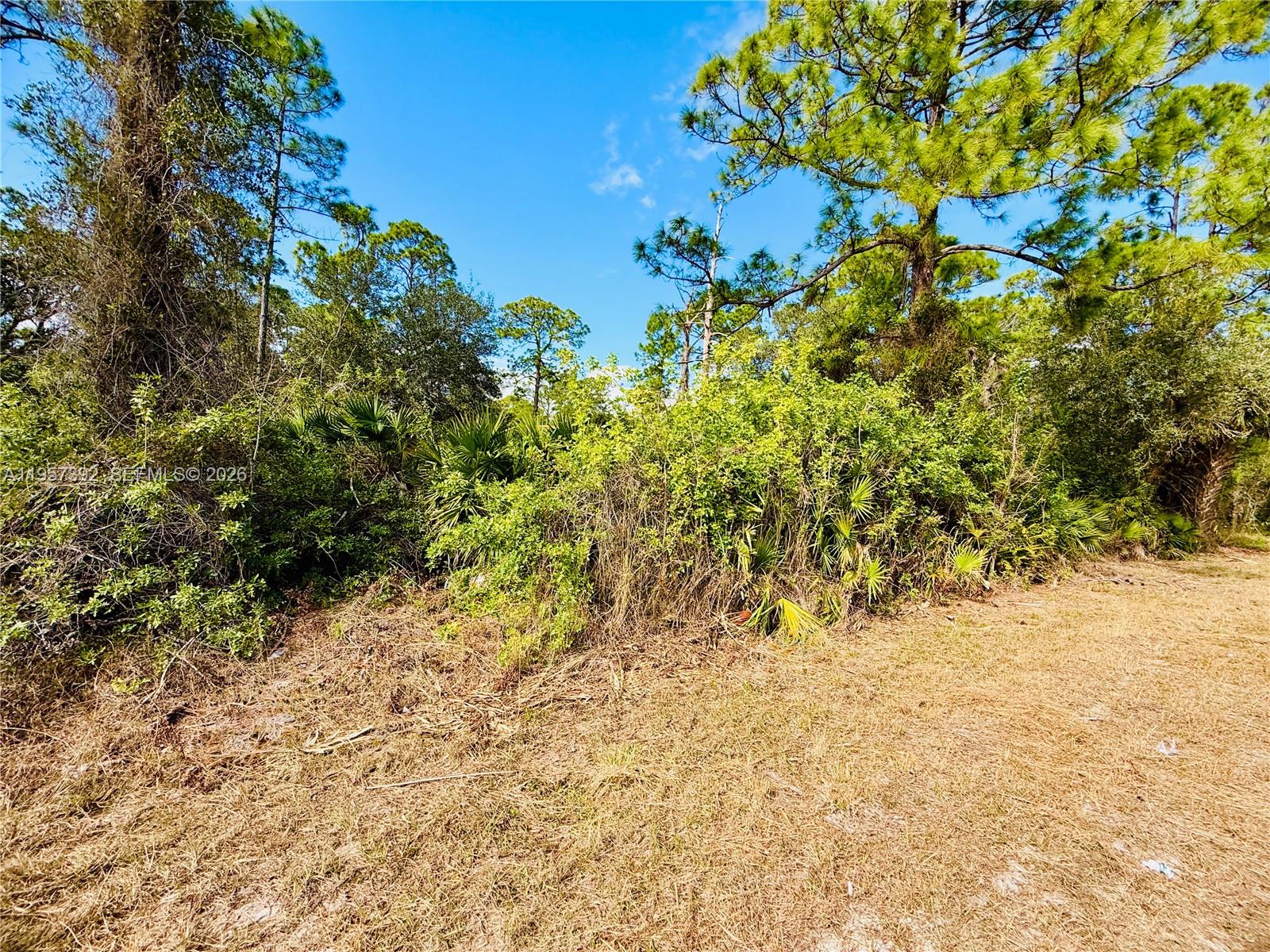 LEHIGH ACRES - Land