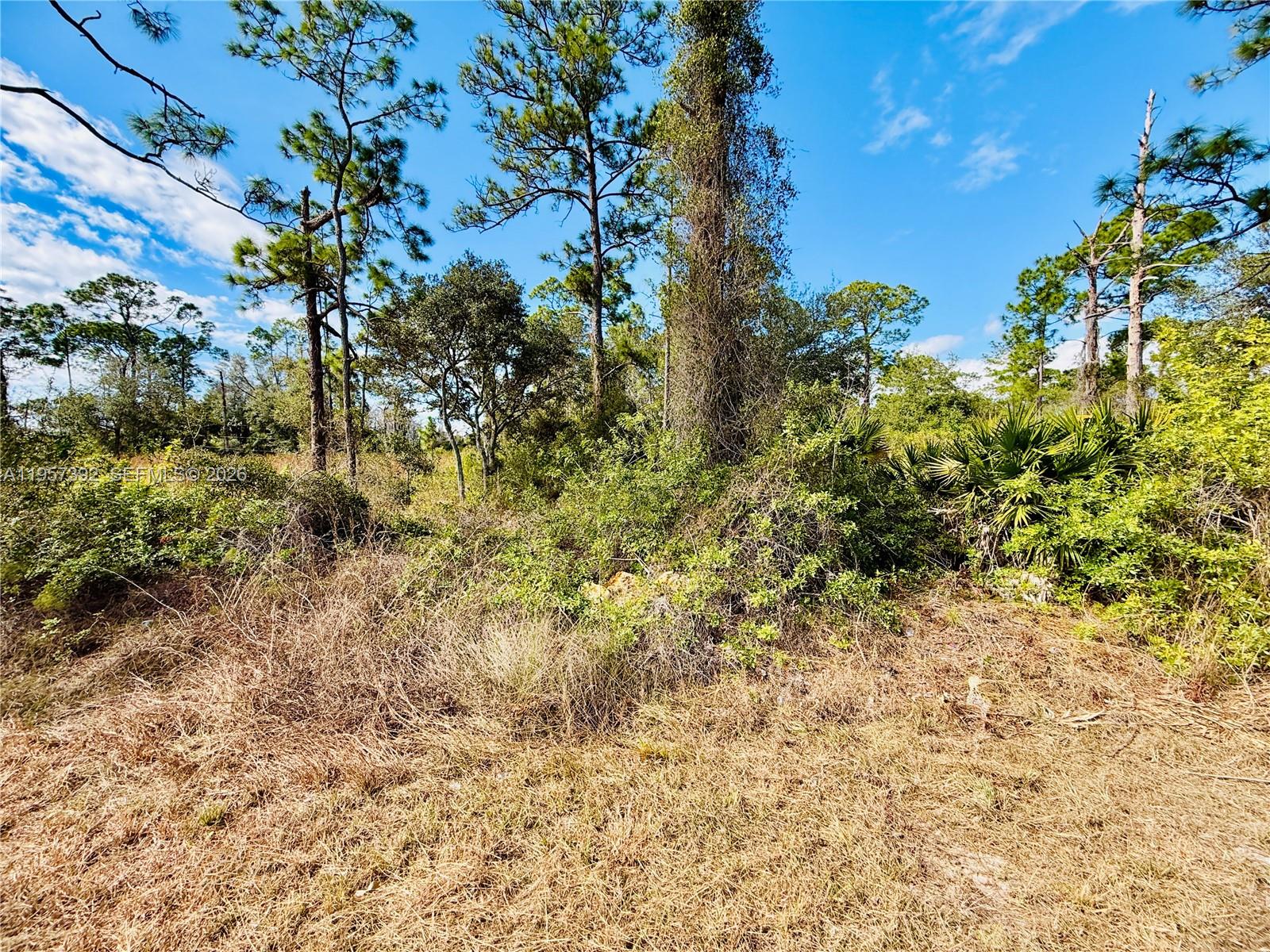 LEHIGH ACRES - Land