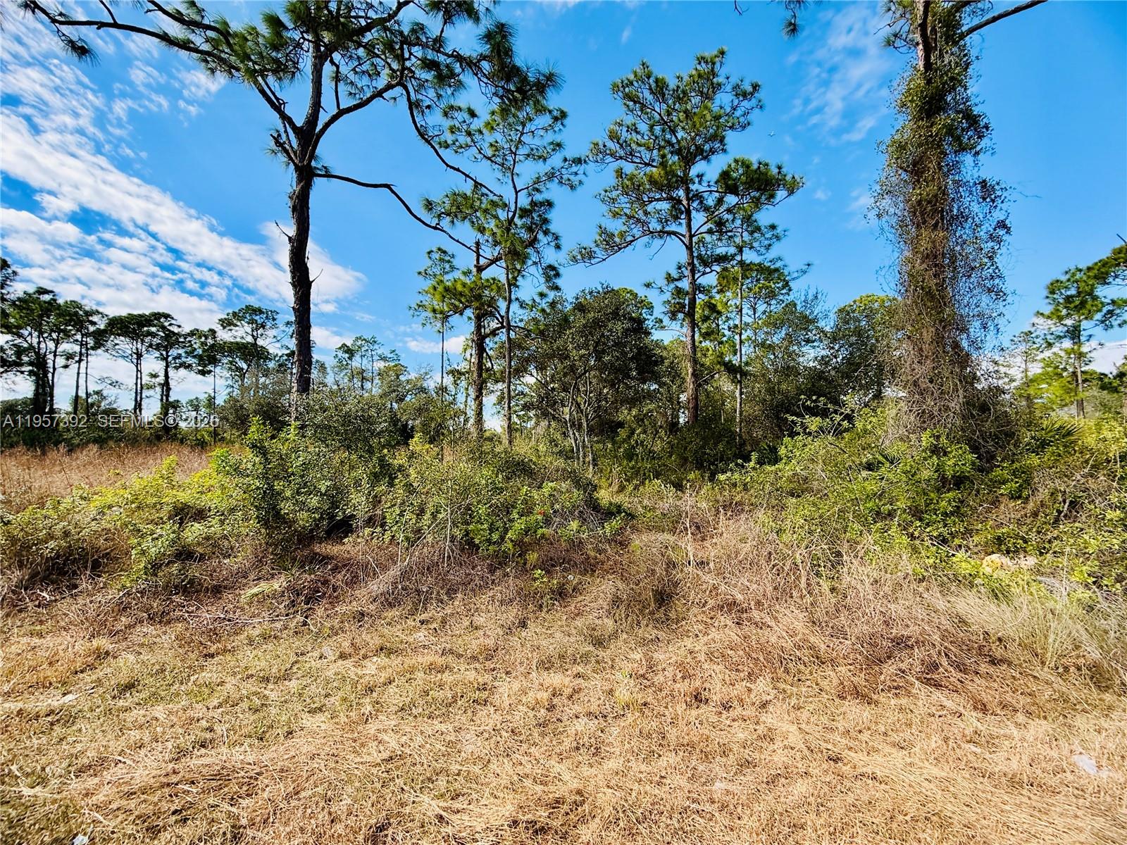 LEHIGH ACRES - Land