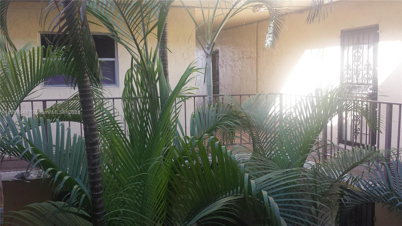 Welcome to a charming residence at 11905 NE 2 Ave, Unit C308, Miami. This property offers a bright and spacious interior featuring all impact windows and sliding doors and an open floor plan. Enjoy the serene greenery from your private balcony, appropriate for relaxing or entertaining. The building provides convenient amenities such as a pool, tennis, gym and secure gated parking. Located in a vibrant neighborhood with easy access to local dining, shopping, and entertainment. 
A convenient bus stop just out side of the property. A walking distance  to Barry University. Investors purchase with instant income. Renters are month to month.