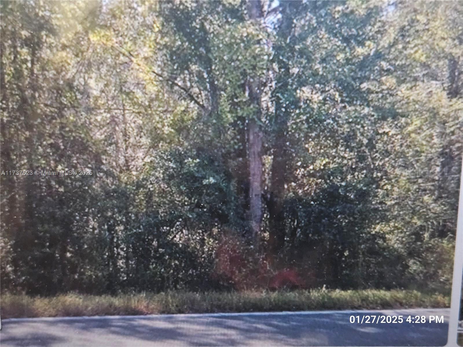 MCMEEKIN PLANTATION - Land