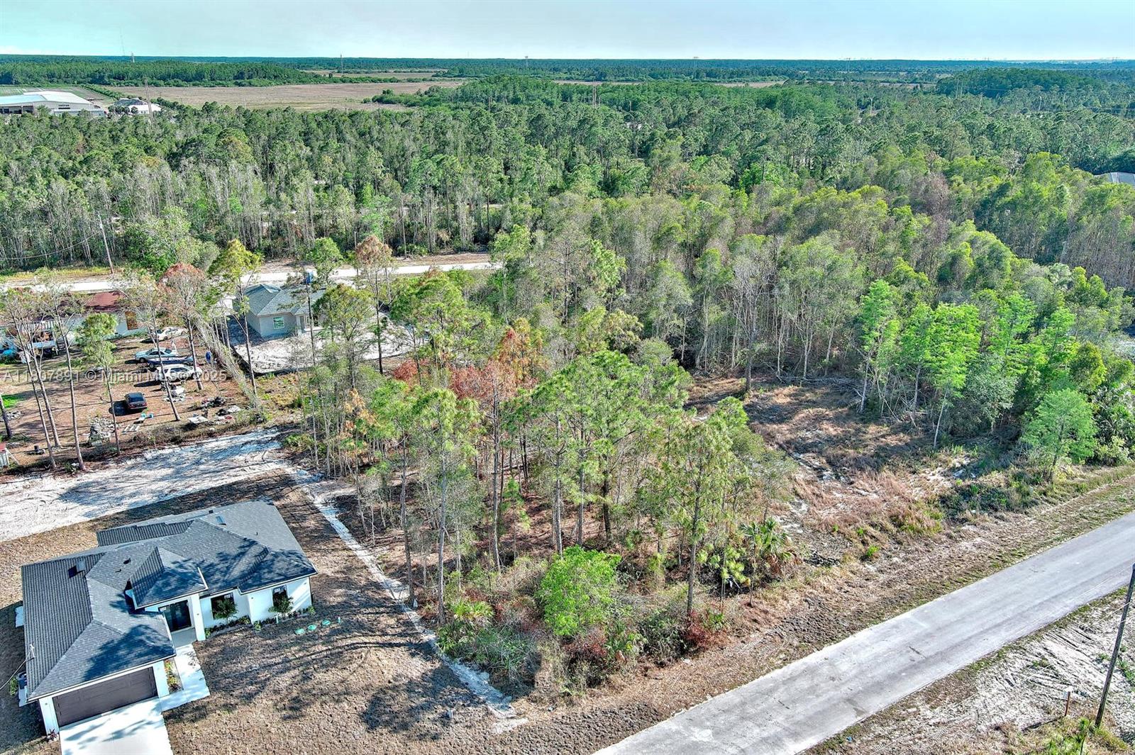 LEHIGH ACRES - Land