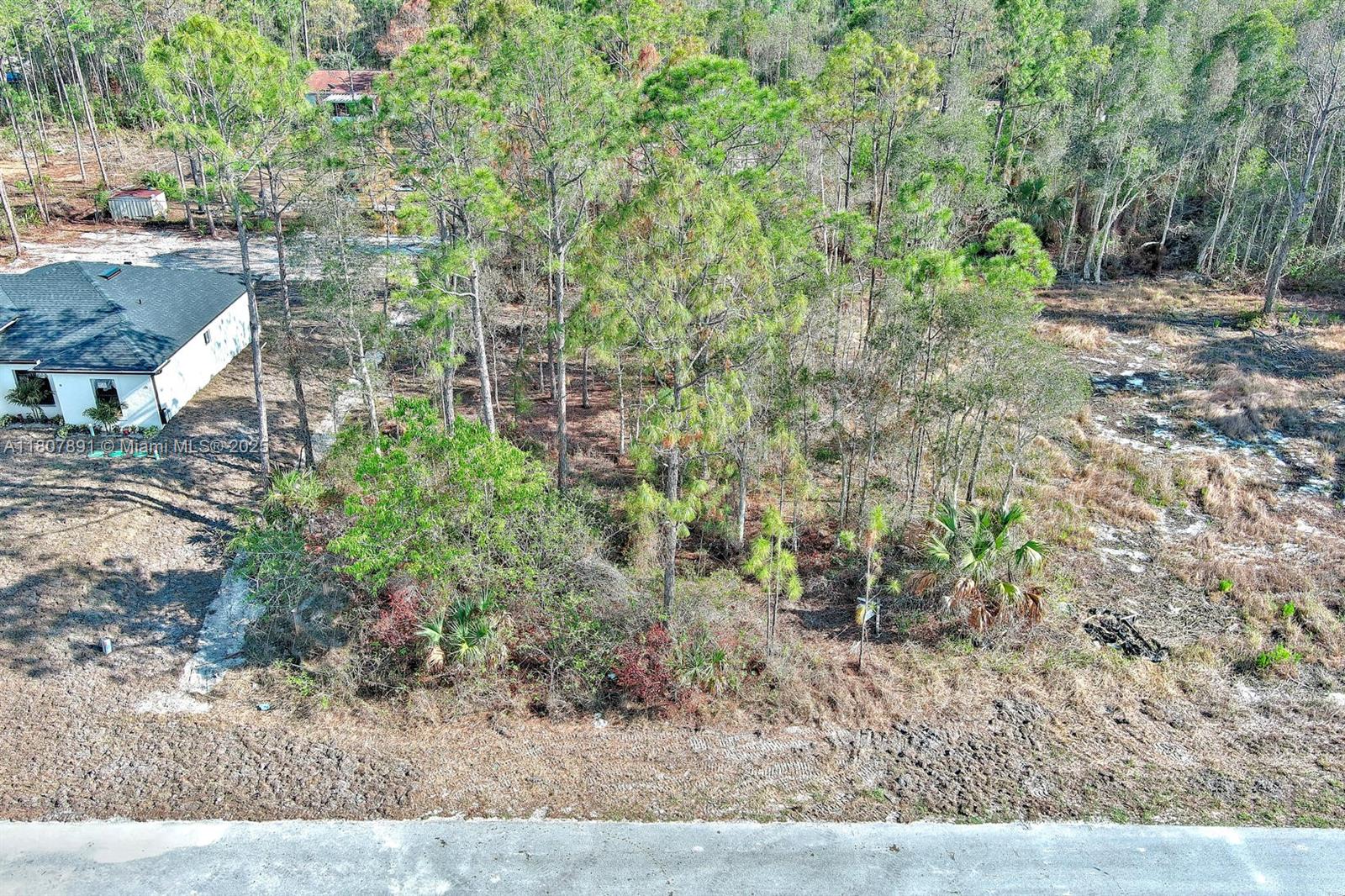 LEHIGH ACRES - Land