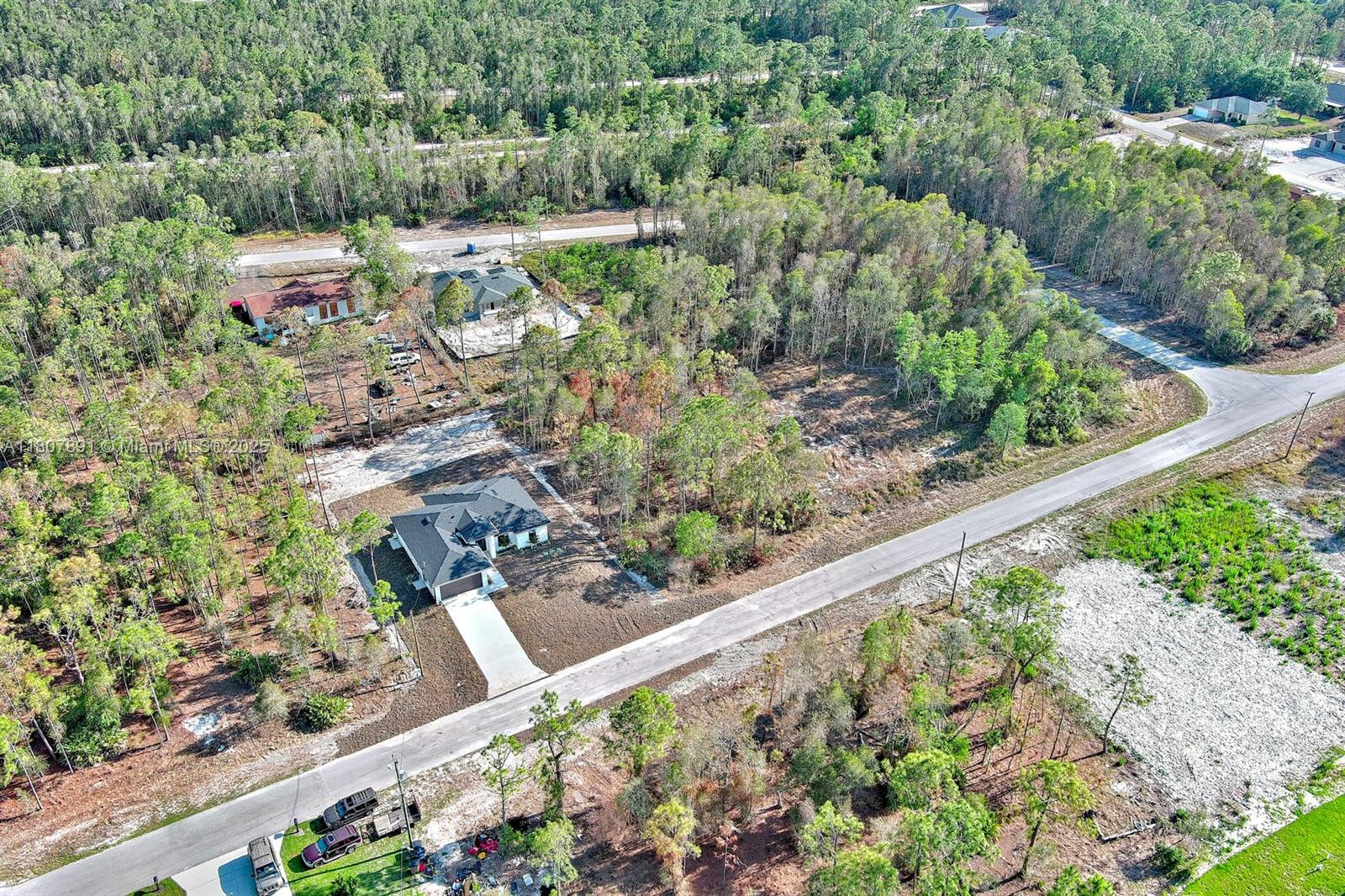 LEHIGH ACRES - Land