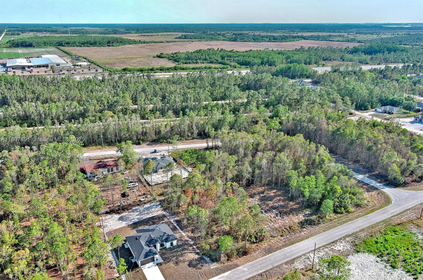 LEHIGH ACRES - Land