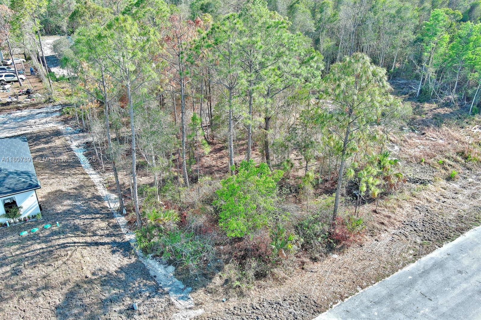 LEHIGH ACRES - Land