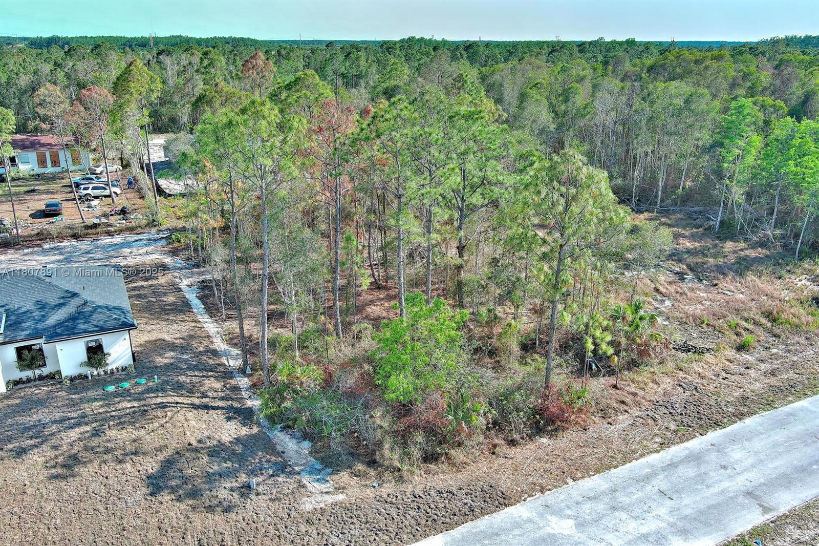 LEHIGH ACRES - Land