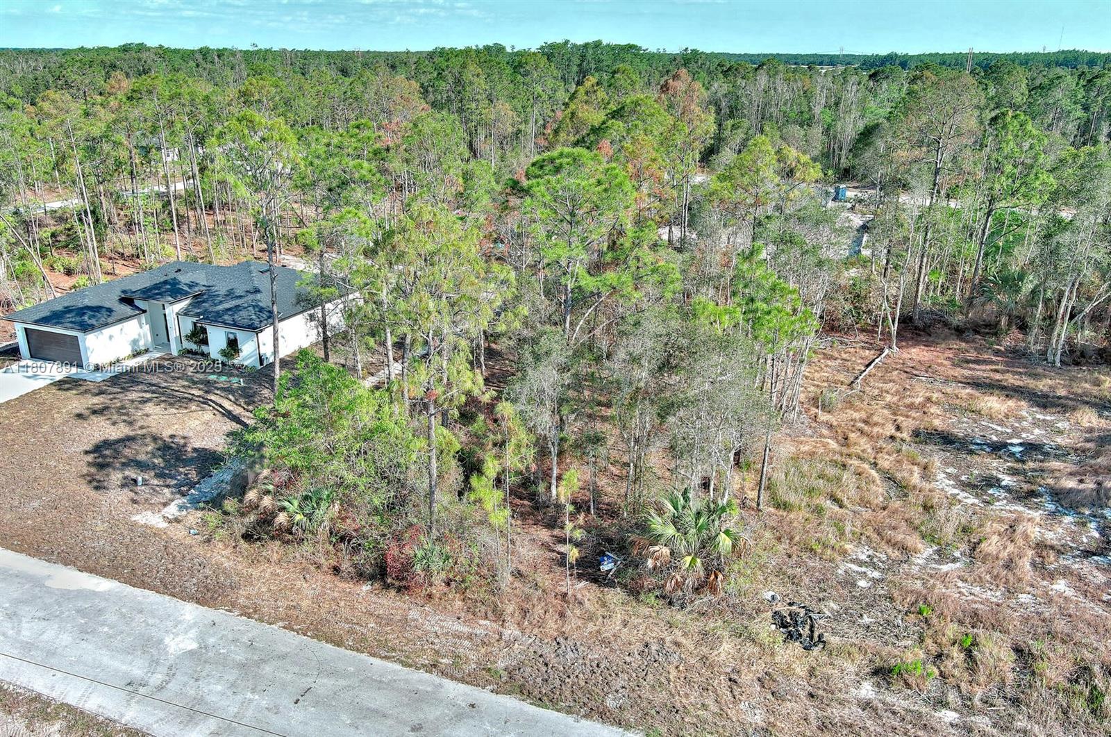 LEHIGH ACRES - Land