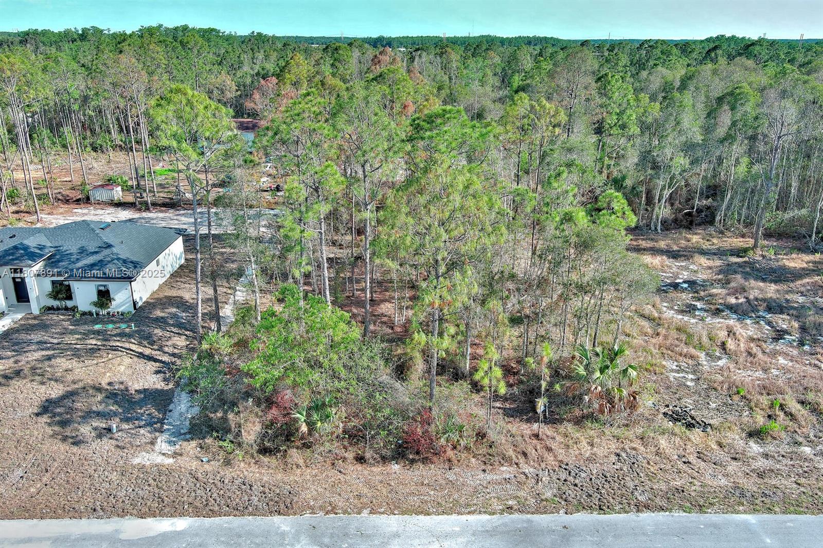 LEHIGH ACRES - Land