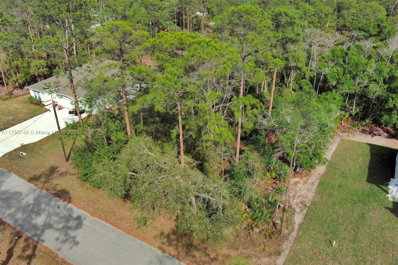 LEHIGH ACRES - Land