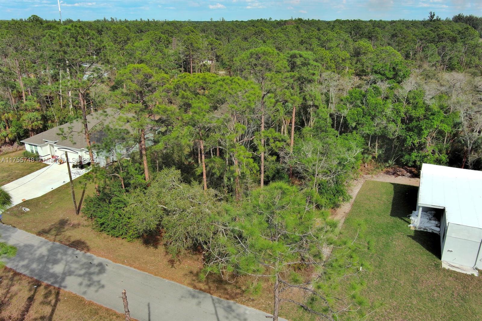 LEHIGH ACRES - Land
