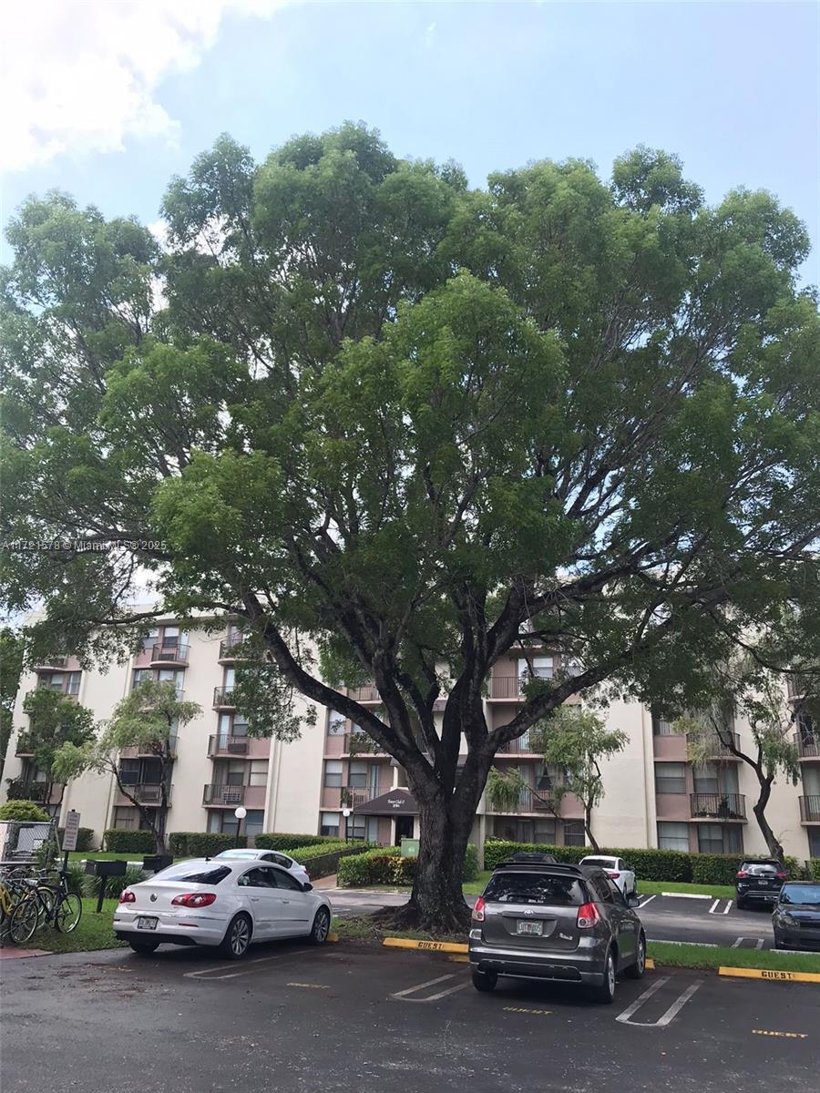 very cozy unit , excellent for living or investors ,convenient location  don't miss it, get income immediately
price reduction for a quick sale !!!!