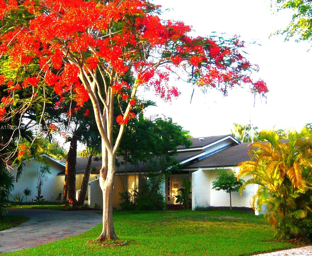 OPEN HOUSE SATURDAY 5/16 FROM 1- 3 PM. Great price reduction for quick sale Pride of same owner since 1988 ...Spacious single story 4-bedrooms home in a great and tranquil neighborhood in Palmetto Bay. House has 6 feet elevation from the street... 11 feet from sea level. House has great bones but in need of your personal taste updating! Double pane ANDERSON impact windows. Double entry doors ,3 newer AC units. The Roof was done in 2016 with the best wood and double liner. Screened Patio and lush Landscaping make this house great for outdoor entertaining! Special panel for RV Or Boat charging. Seller is motivated!!