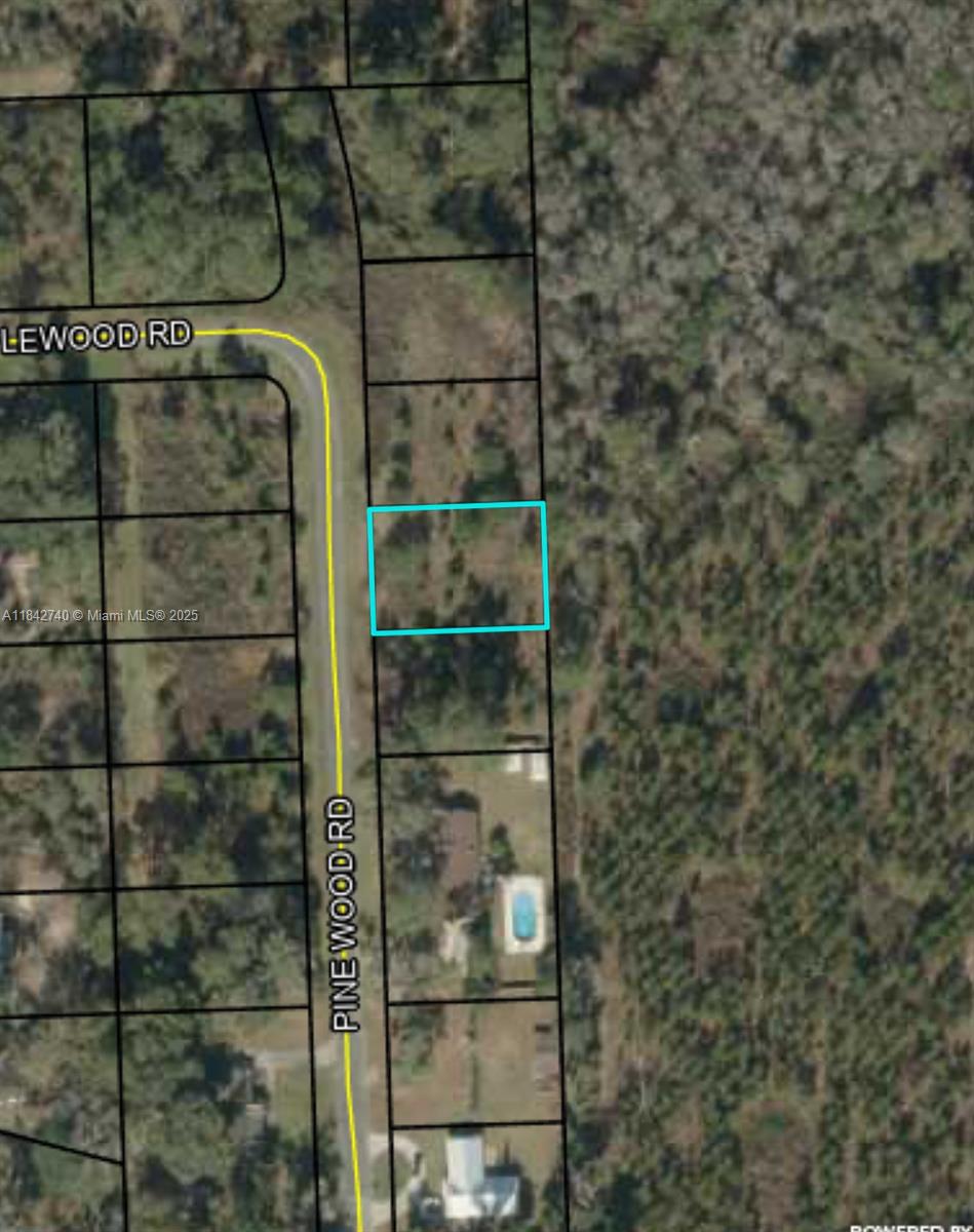 Discover a fantastic opportunity to own a .32-acre lot in the peaceful Chan Bridge subdivision- just 40 minutes from Valdosta, GA. With a paved road and electricity already at the street, It's only 10 minutes from
1-75 and 30 minutes from Suwannee River State Park, perfect for kayaking and outdoor getaways.
Whether you're ready to build now or seeking a smart buy-and-hold investment, this property delivers location, flexibility, and future potential. Secure your piece of land today and watch your investment grow!