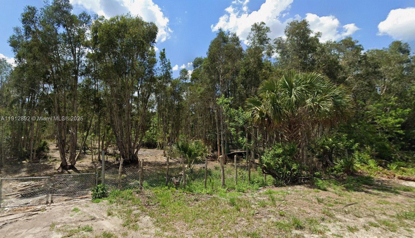 LEHIGH ACRES - Land