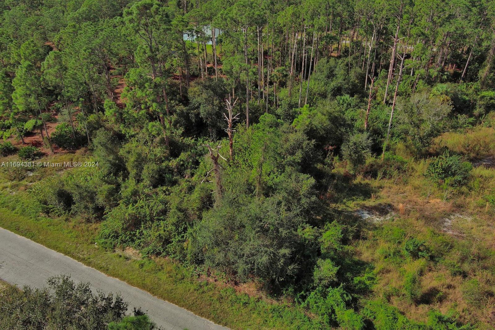 LEHIGH ACRES - Land
