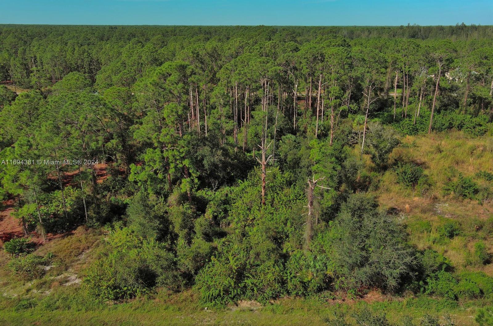 LEHIGH ACRES - Land