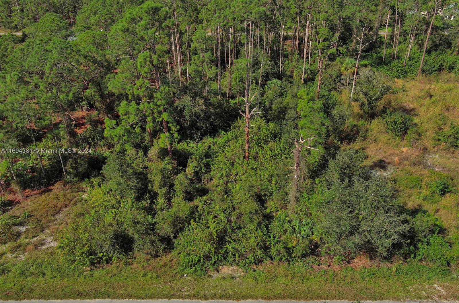 LEHIGH ACRES - Land