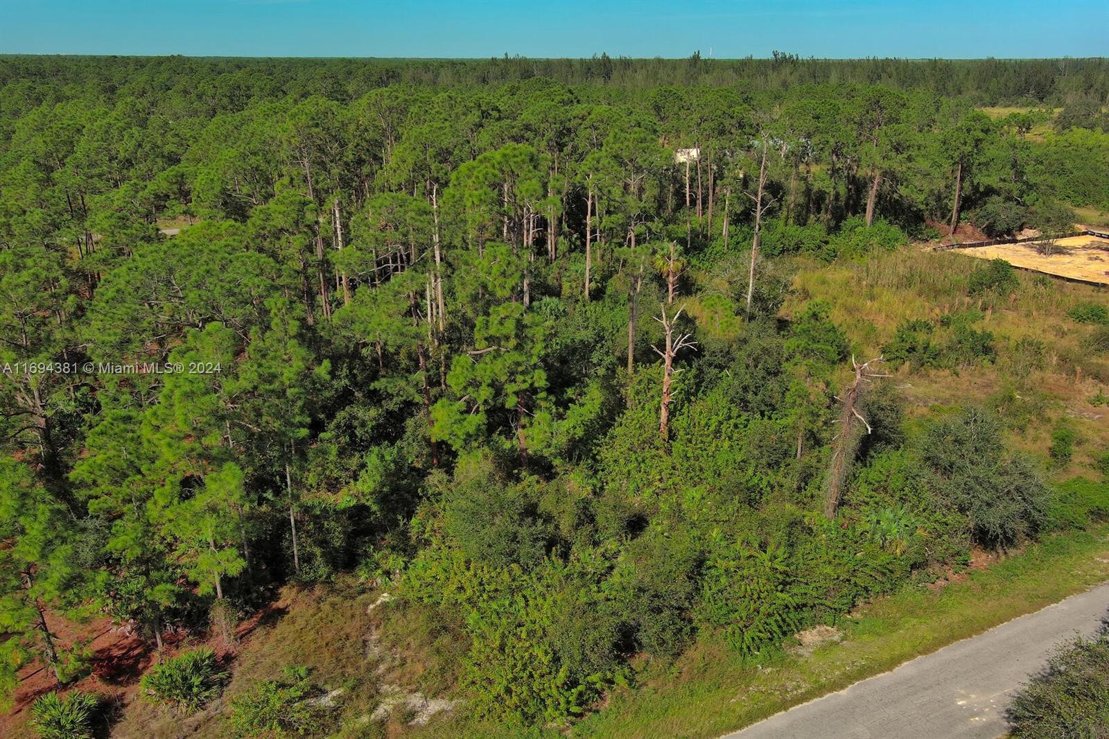 LEHIGH ACRES - Land