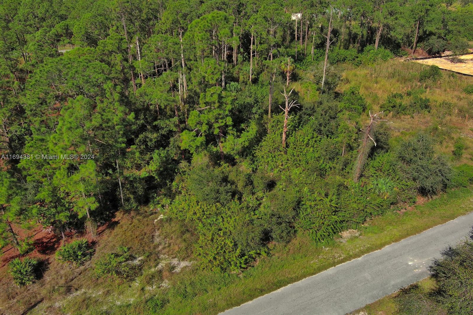 LEHIGH ACRES - Land