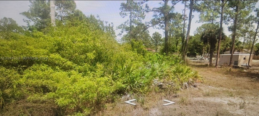 Great opportunity to own a nice well located land.